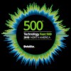Deloitte 2019 Technology Fast 500™ logo