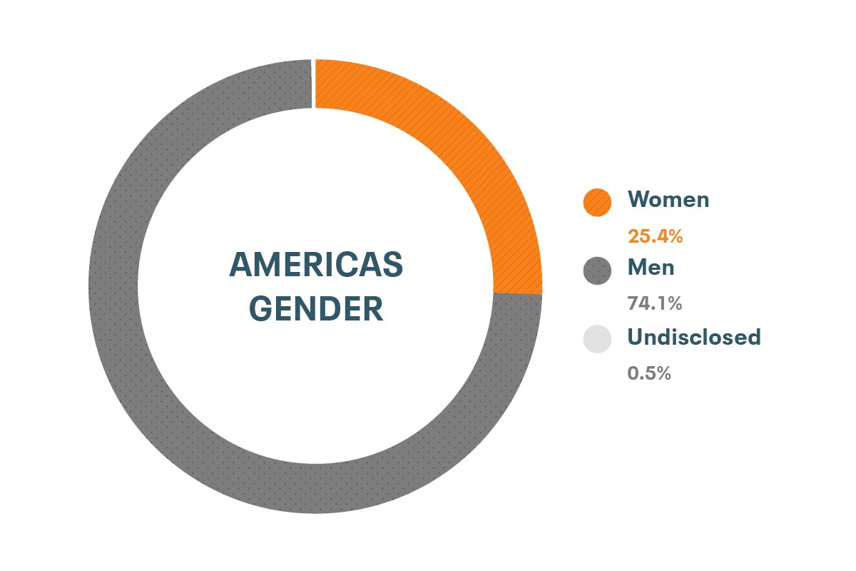 Cloudera のダイバーシティとインクルージョンデータ (南北アメリカの性別比): 女性25.4%、男性74.1%、回答なし0.5%
